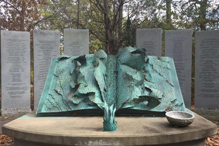 Image 6