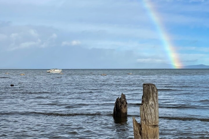 Image 31