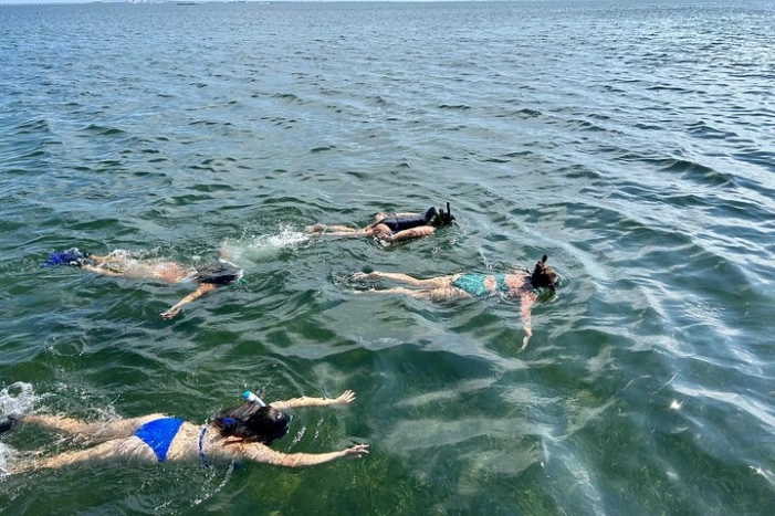 3 Hours Snorkeling Excursion in South Padre Island