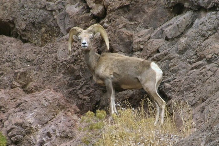 Image 6