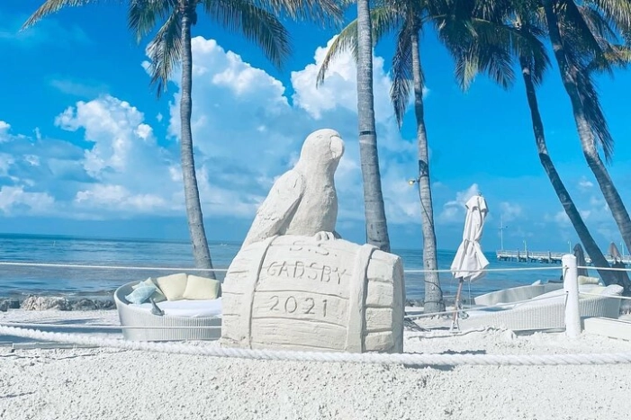 Image 7