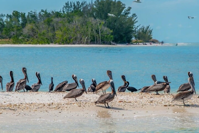 Image 15