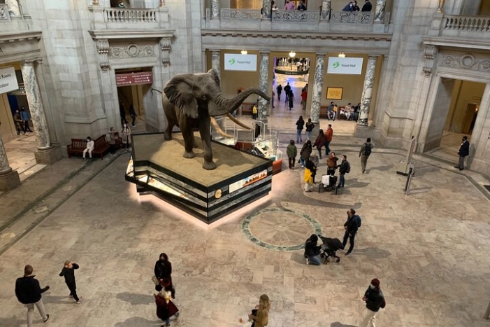 Smithsonian National Museum of Natural History with Guided Tour