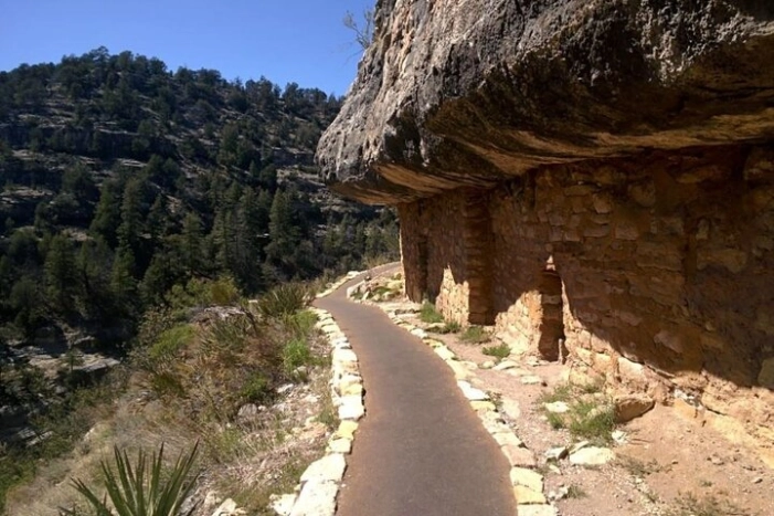 Image 4