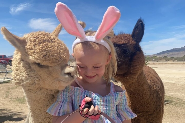Nature Health Farms Alpaca Farm Petting Zoo Pahrump Death Valley