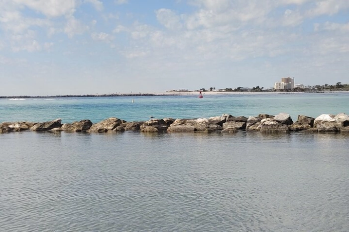 Image 12