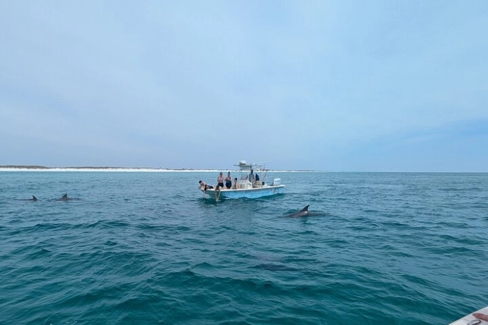 Image 11