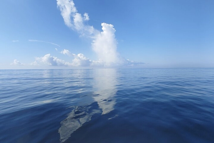 Image 16