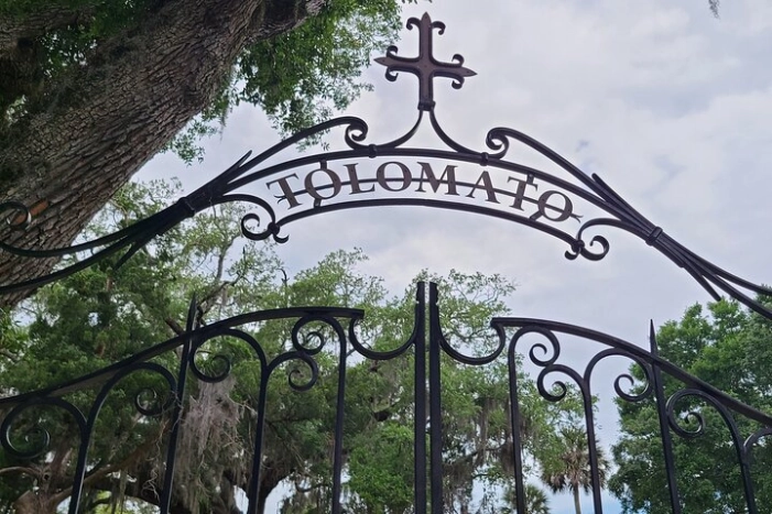 Image 7