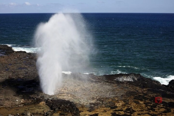 Image 13