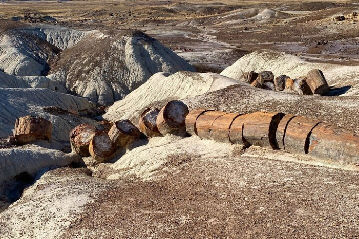 Image 12