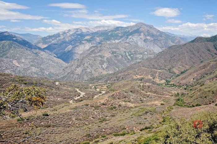 Image 12