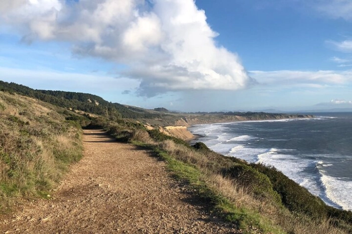 Image 15