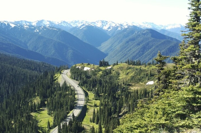 Image 12