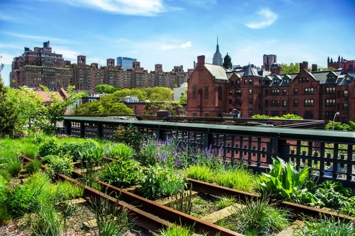 Semi-Private Meatpacking District, Chelsea Market, and High Line Walking Tour