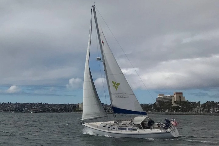 Image 10