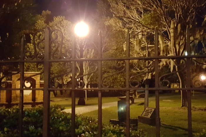 Image 19