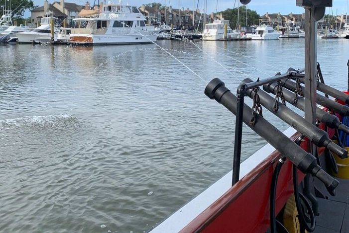 Image 22