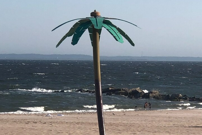 Image 15