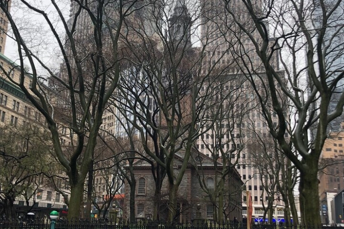 Image 12