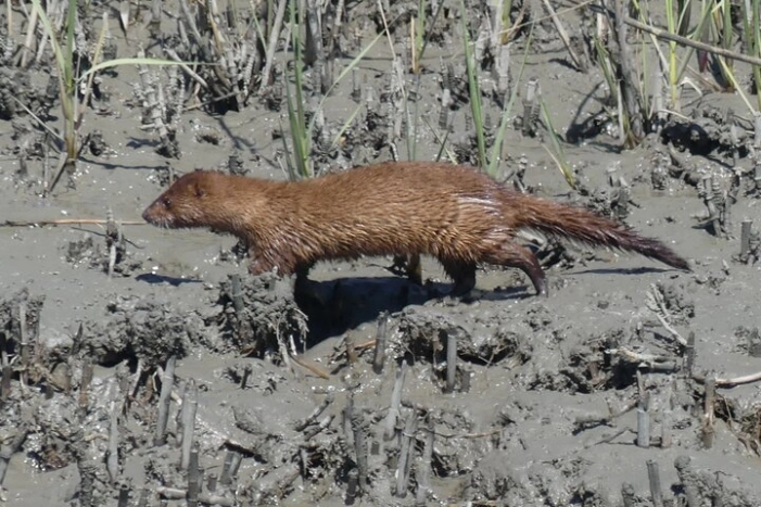 Image 18