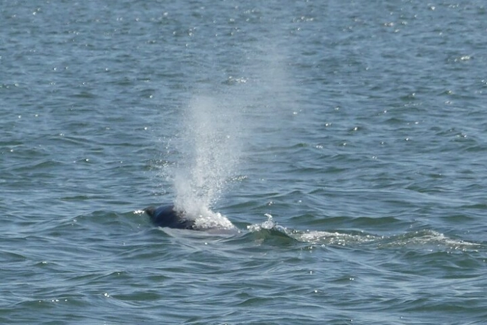 Image 21