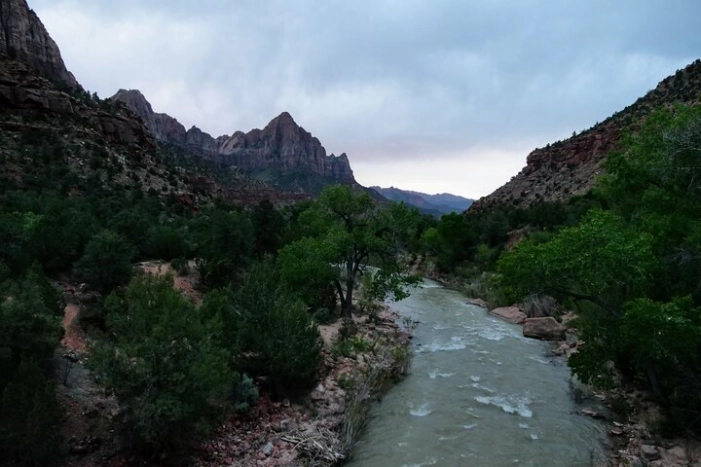 Image 11