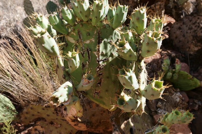 Image 16