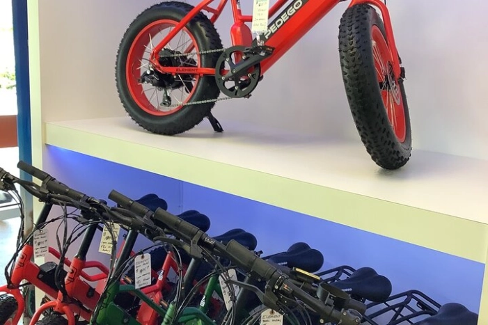 Electric Bikes Rental in Dunedin