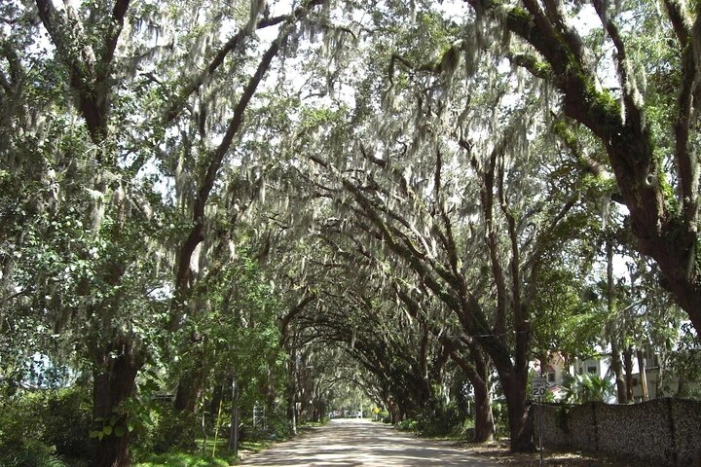 Image 15