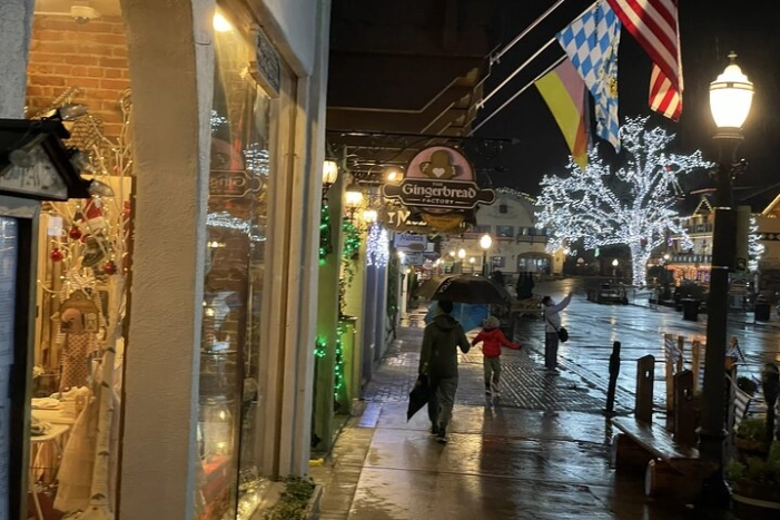 Image 15