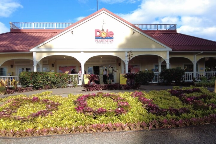 Image 12