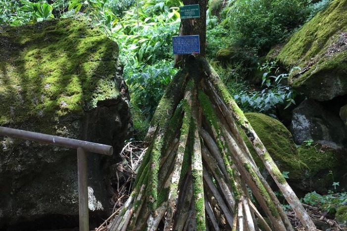 Image 15