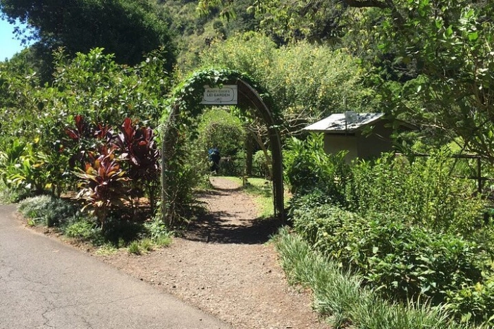 Image 18