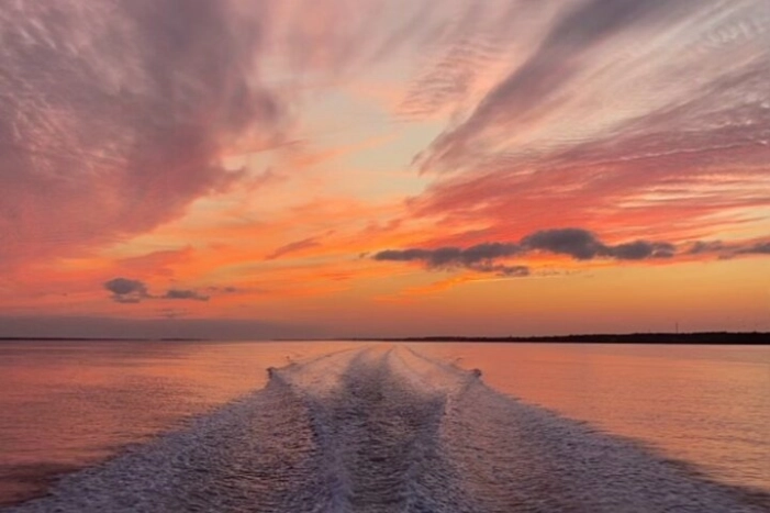 Coastal Excursion/Sunset Cruise/Sand Dollars/Sea Shells/Horses