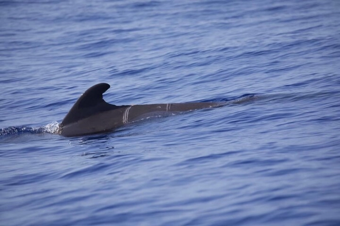 Image 10