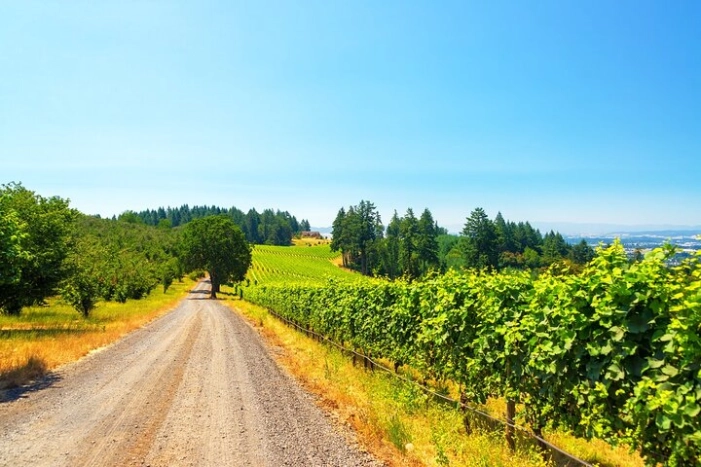 Full Day Private Willamette Valley Wine Tour from Portland 