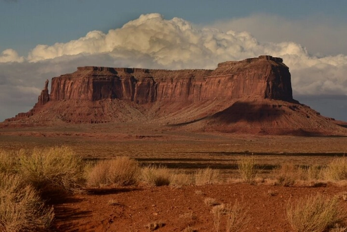 Image 15