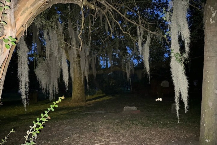 Image 15