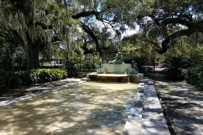 Image 6