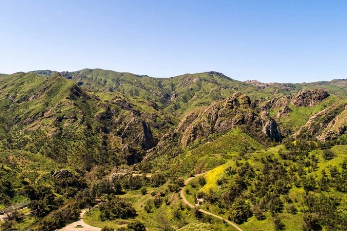 Image 6