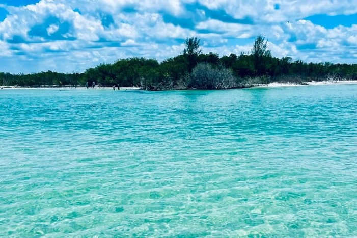 4-Hour Island/Sandbar Excursion with Captain