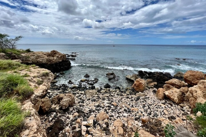 Image 21