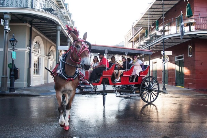 New Orleans French Quarter and More Carriage Ride 