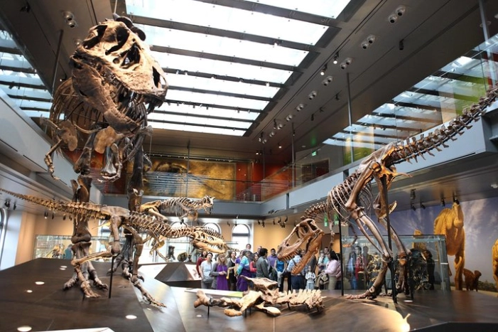 Natural History Museum of Los Angeles County Admission