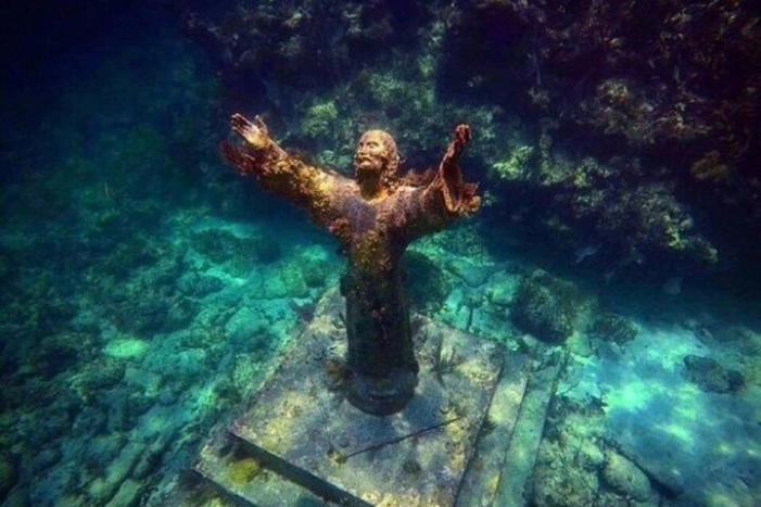 Image 14