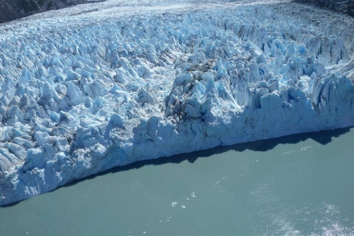 Glacier & Wildlife Discovery Tour
