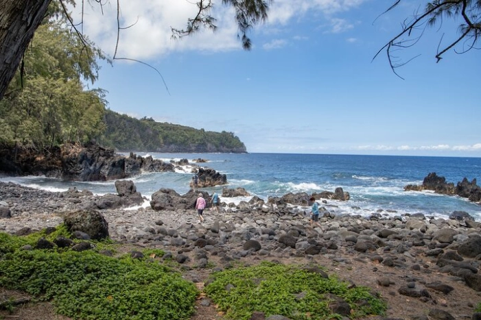 Image 15