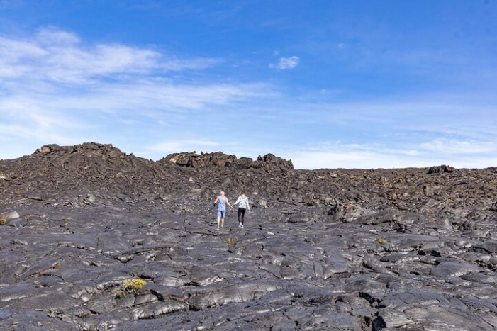 Image 15