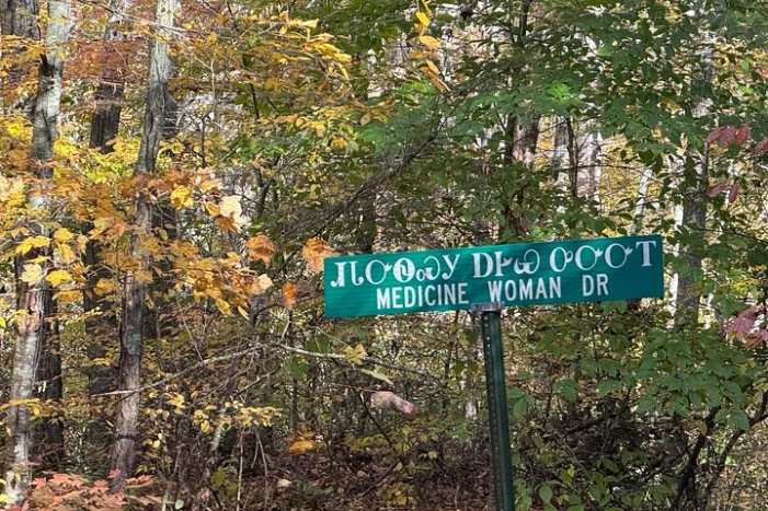 Image 19